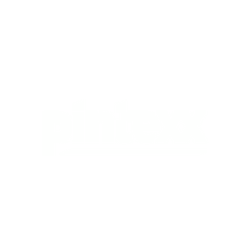 Logo Pintexx